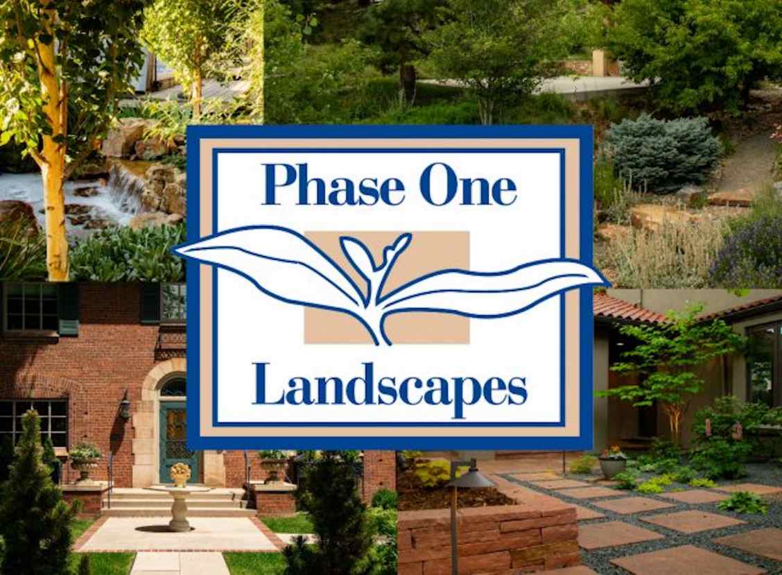 Phase One Landscapes Pool & Spa Landscaping