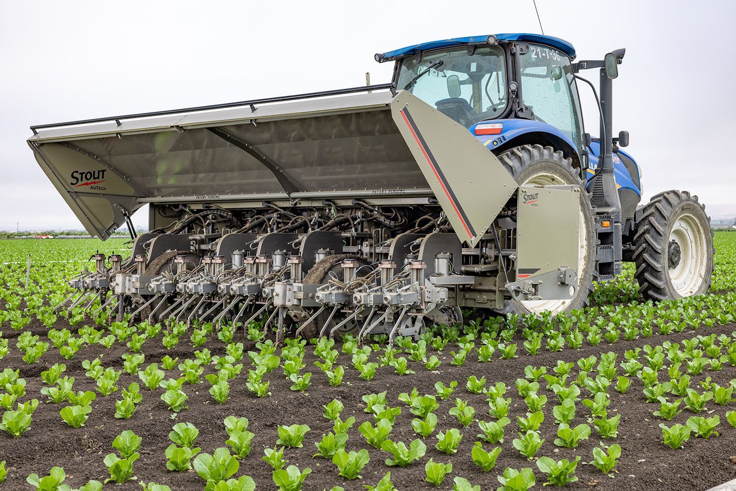 The Stout Smart Cultivator